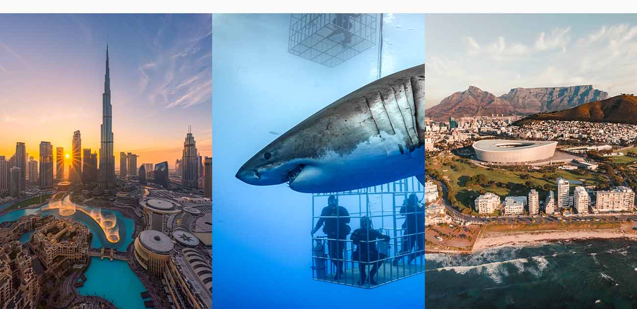 Dubai to Cape Town Thrills with Shark Encounters