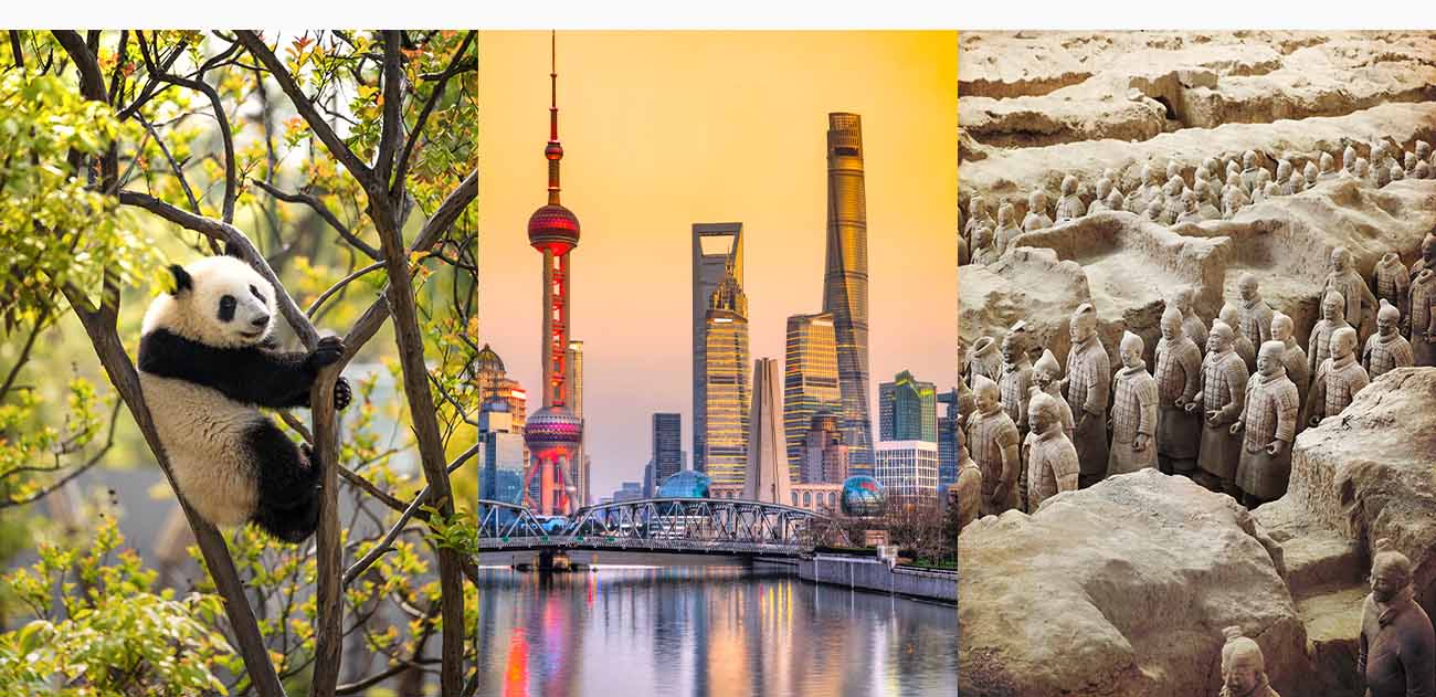 Pandas and Timeless China from Wall to Waterways